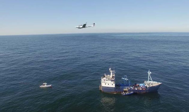 Centaur OPA tracks great whites