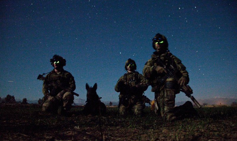 Tactical vests sought for USASOC dogs