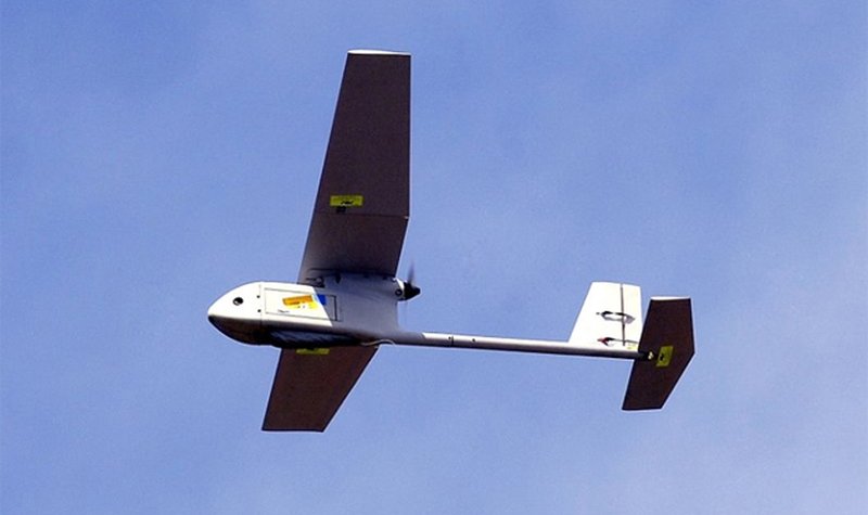 Ravens swoop on Ukraine