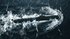 Poland’s naval modernisation plans point to $13 billion market