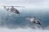 NSPA outlines next steps for NATO’s Next-Generation Rotorcraft Capability effort