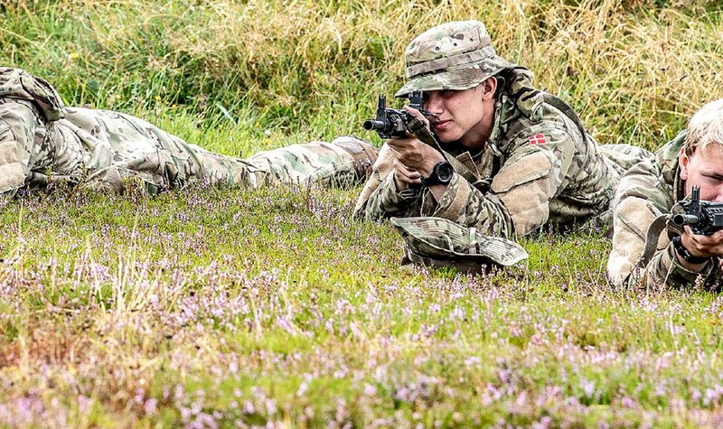 Denmark looks to neighbour for live training solutions