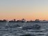 US Navy expands GARC sUSV deployment