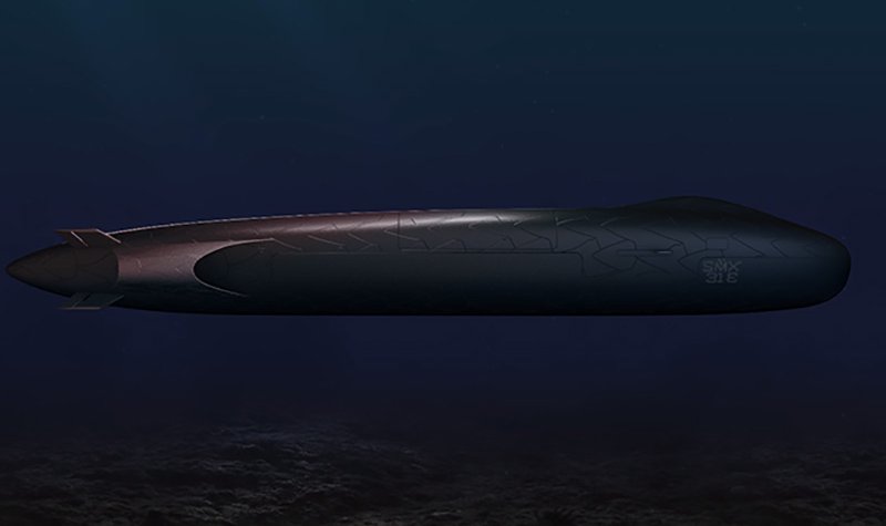 Naval Group looks ahead with biomimetic stealth submarine