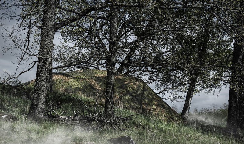 Canada orders Saab camouflage systems