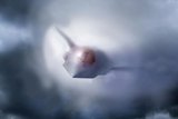 A new shape in the sky? Mapping out the F-47’s configuration