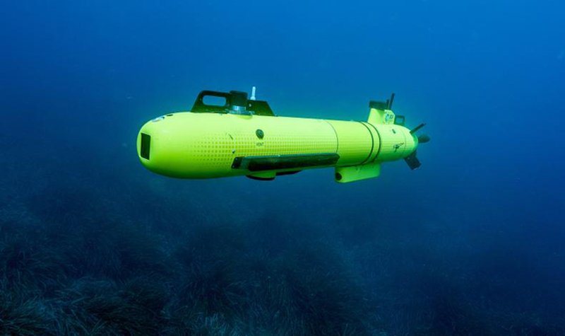 ECA Group working on SWARMs project