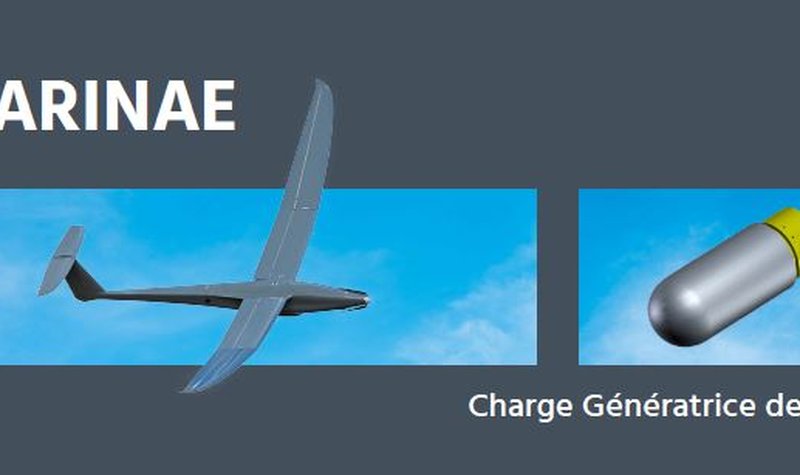 Paris Air Show: France makes decision on medium-range loitering antitank munition