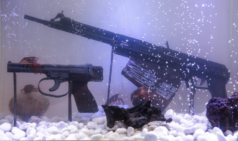 Rostec delivers underwater pistols and assault rifles