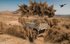 Eurosatory 2026: Updated S-KAPS ready to neutralise drone threat